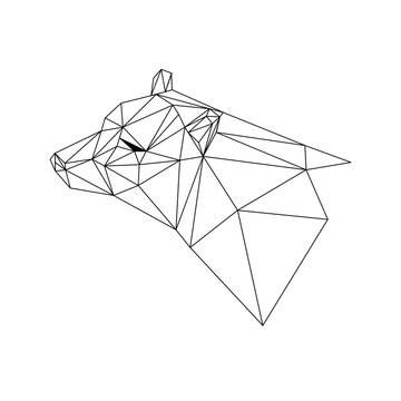 recommend clip art: Geometric low-poly bear banner. Abstract outline polygonal animal. Isolated triangle bear on white background. 