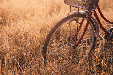 Vintage Bicycle in Summer Meadow made with color Vintage Tone,Filtered effect