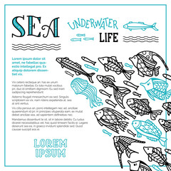 Obraz premium Vector sea underwater life background.