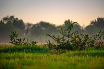 Obraz na płótnie Canvas Beautiful view of misty sunrise in valley