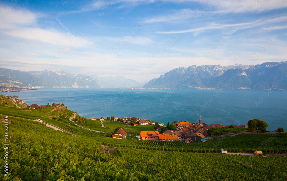 Wall mural Vineyards of the Lavaux region,Switzerland