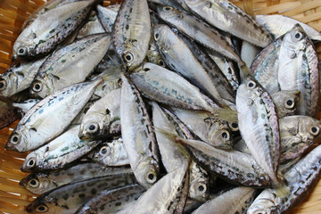 竹ざるに入ったエバ