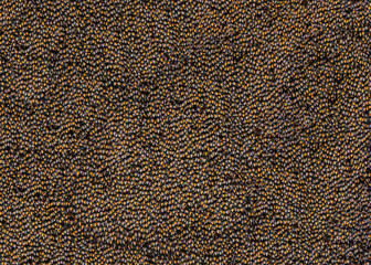 Colorful patterned surface of the bee for the background.