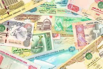 some united arab emirates dirham bank notes
