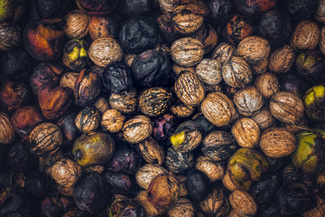 Fototapeta na wymiar Freshly harvested nuts