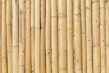 Bamboo background