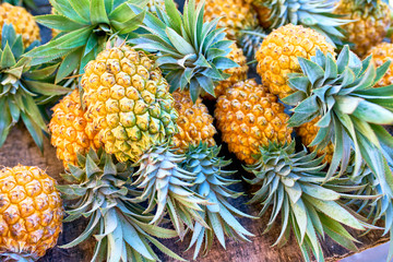 victoria pineapples on local market of Saint-Pierre, Reunion Island - 201326144