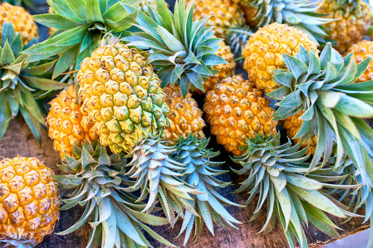 victoria pineapples on local market of Saint-Pierre, Reunion Island