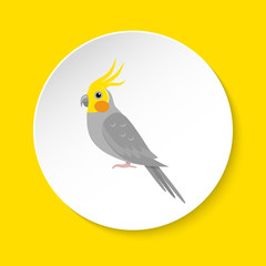 Corella parrot icon in flat style