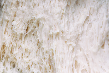 Close up view macro concept sponge dough of steamed bun or bread in proofing or proving stage,it is means to allow the bread dough to rise. Present texture for abstract background or bakery wallpaper.