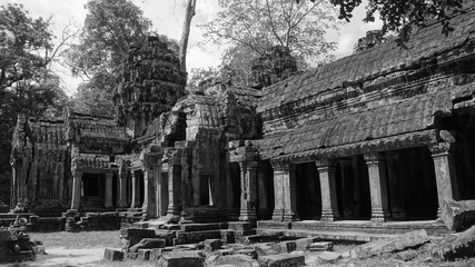 Ta Phrom Temple - The Tree Roots Temple in Angkor Wat