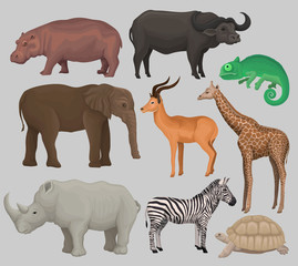 Wild african animals set, hippopotamus, hippopotamus, chameleon, elephant, antelope, giraffe, rhinoceros, turtle, buffalo, zebra vector Illustrations