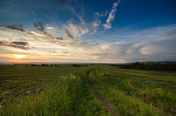Sunset in summer, green grass and sky with clouds