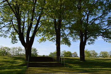 Treppe in einer Parkanlage unter Bäumen