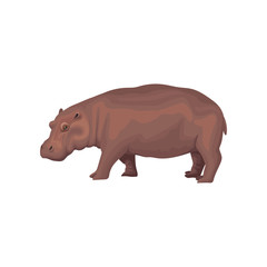 Hippo wild african animal, side view vector Illustration on a white background
