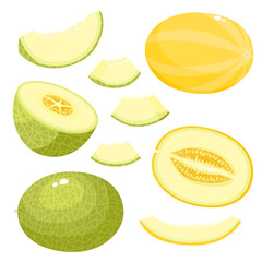 Bright vector set of juice melon isolated on white background.