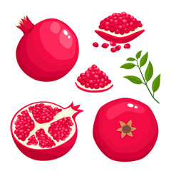 Bright vector set of colorful juice pomegranate isolated on white.