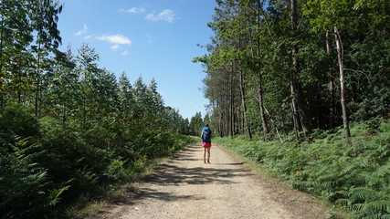 Obraz premium Backpacker