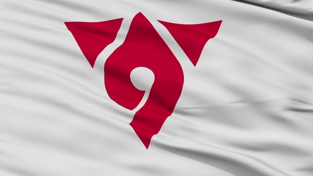 Hadano close up flag, Kanagawa prefecture, realistic animation seamless loop - 10 seconds long