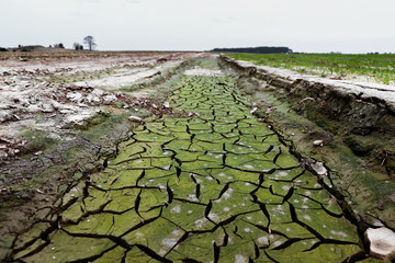 cracked earth texture