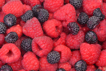 Red and black raspberry
