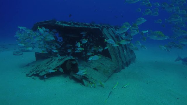 Shipwreck, Cabo Pulmo. Mexico.