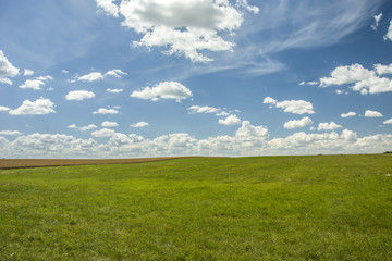 Obraz premium Green meadow and clouds in the sky