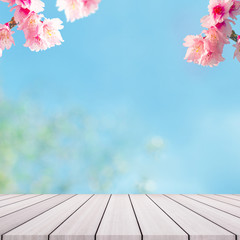 Cherry Blossom trees on backgorund. Pink Sakura flowers.
