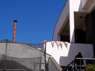 Camara de Lobos - Mad&egrave;re