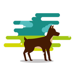 brown dog pet animal domestic standing vector illustration