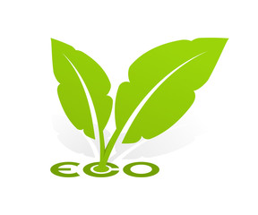 Logo Eco with green leafs 