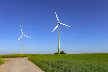 Alternative Energy / Wind turbines in a field