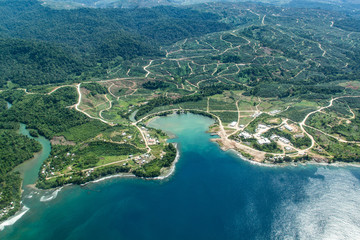 Oil Palm Plantations On East New Britain #1