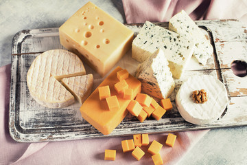 Different kinds of cheeses