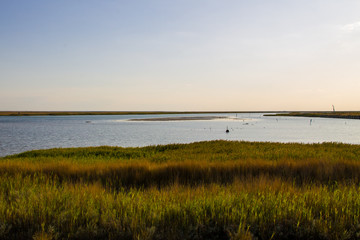 View on the Sivash lake, Ukraine