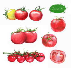 Hand-drawn watercolor food illustration. Set of red tomatoes isolated on the white background. Vegetarian food product