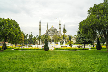sultan ahmed garden - ayasofia garden