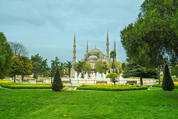 Fototapeta na wymiar sultan ahmed garden - ayasofia garden