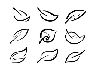 Fototapeta premium Set of stylized leaves. Nature, ecology logo or icon. Vector illustration