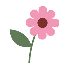 pink flower decoration natural image vector illustration