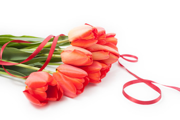 Bouquet of red tulips isolated and lied on white background close up