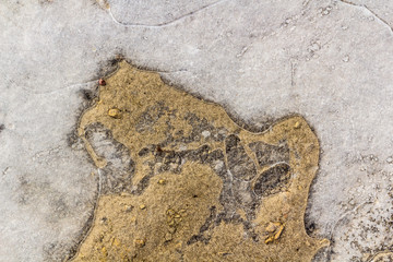 frozen puddle in early spring on a sunny morning