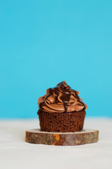 Dark chocolate cupcake on white with blue background