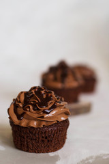 Chocolate espresso cupcakes on white background