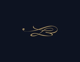 letter B luxury logo design element