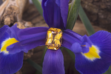 Big emerald cut yellow sapphire on flower