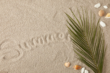 top view of green palm leaf, seashells and summer inscription on sand