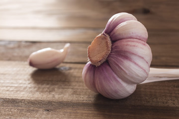 one peeled big head of a young garlic close