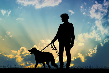 illustration of man and dog at sunset