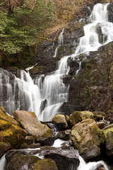 Fototapeta premium Torc waterfall in Killarney National Park - Ireland
